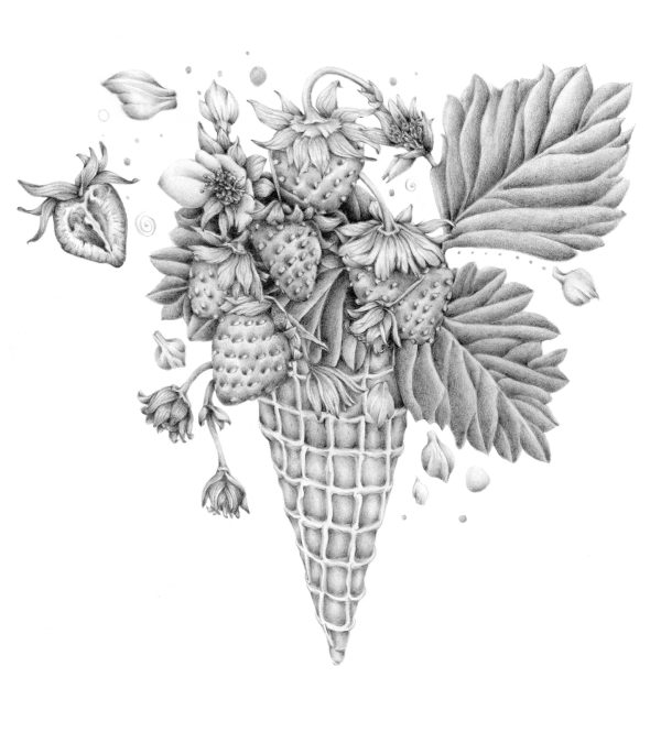 illustration réalisée aux crayons graphite d'un cornet de glace d'où jaillissent des fraises